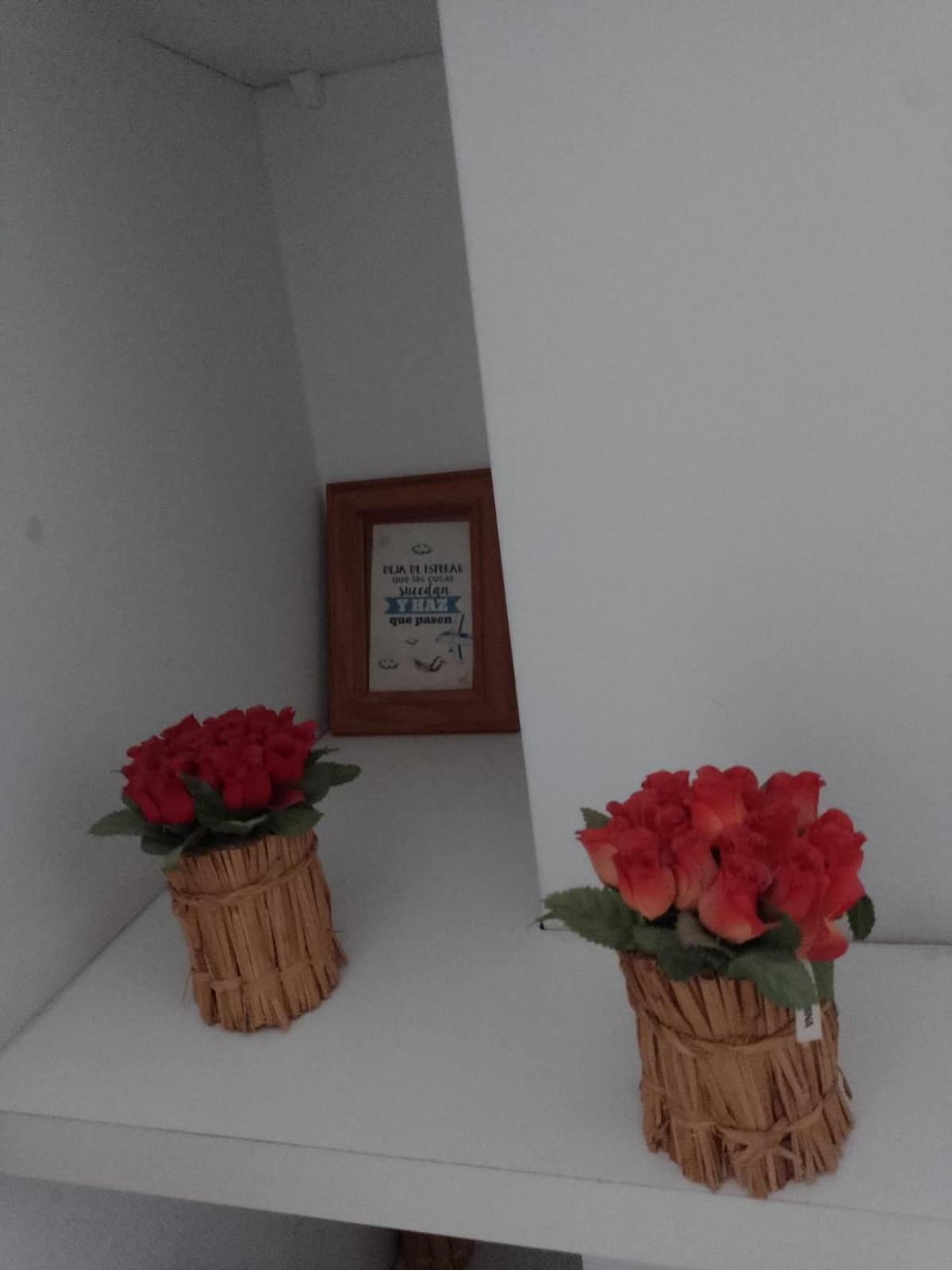 Апартаменты Relax En Palermo Con Gran Balcon Y Wifi 300Mb Буэнос-Айрес Экстерьер фото